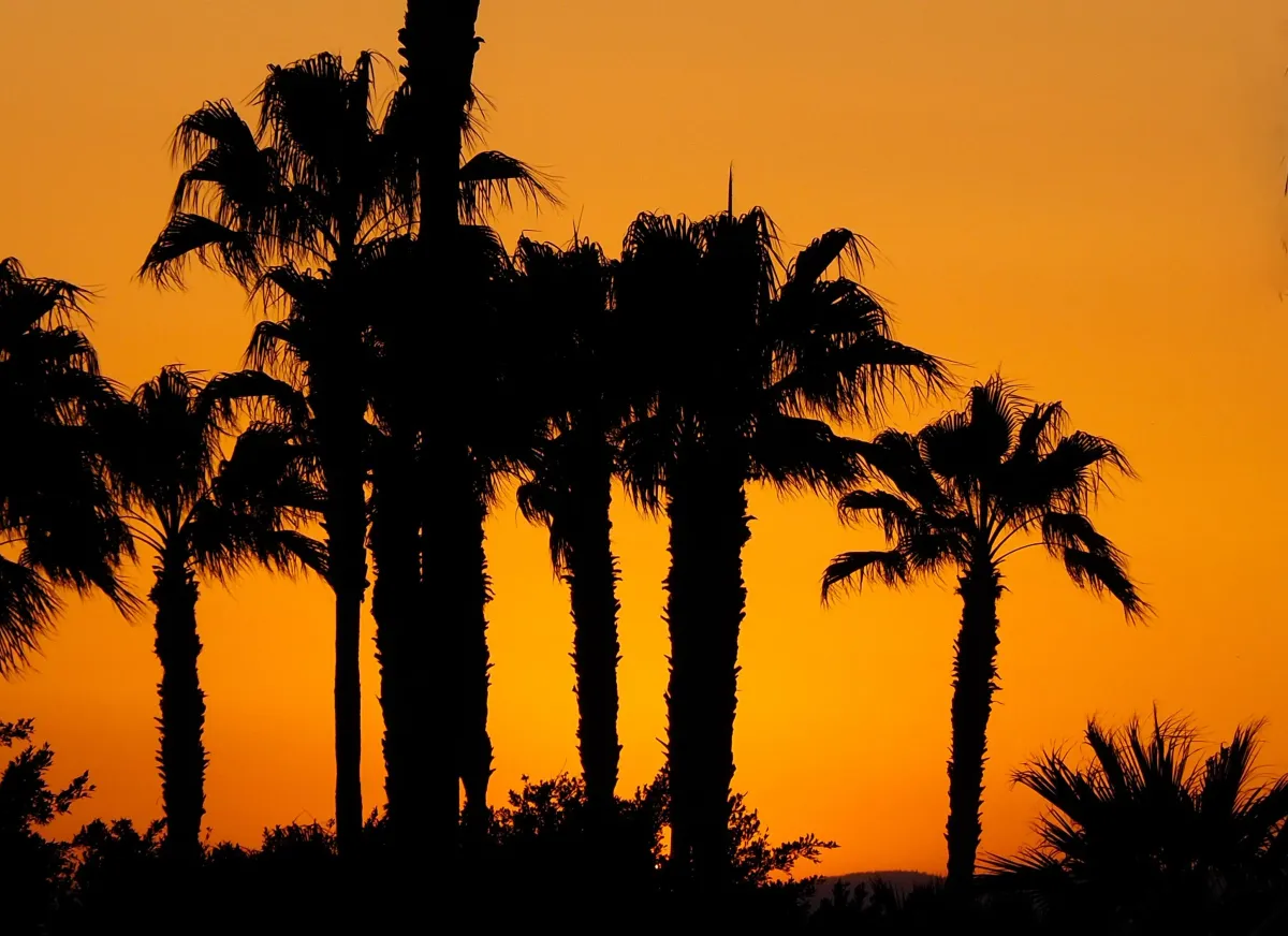 The UAE You Haven't Seen Yet - Farm Country, Open Sky, and the Country Past the Last Traffic Light