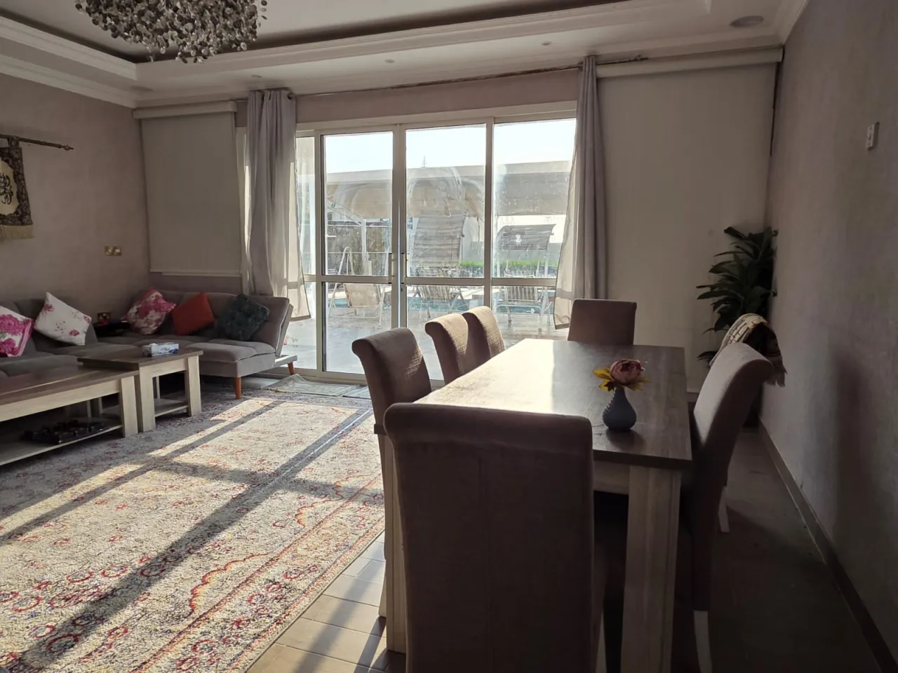 Al Ryana Farm — photo 12
