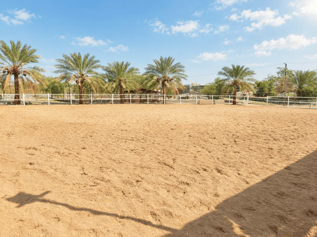 Palm Haven Farmhouse | Wadi Ashwani Escape — photo 17