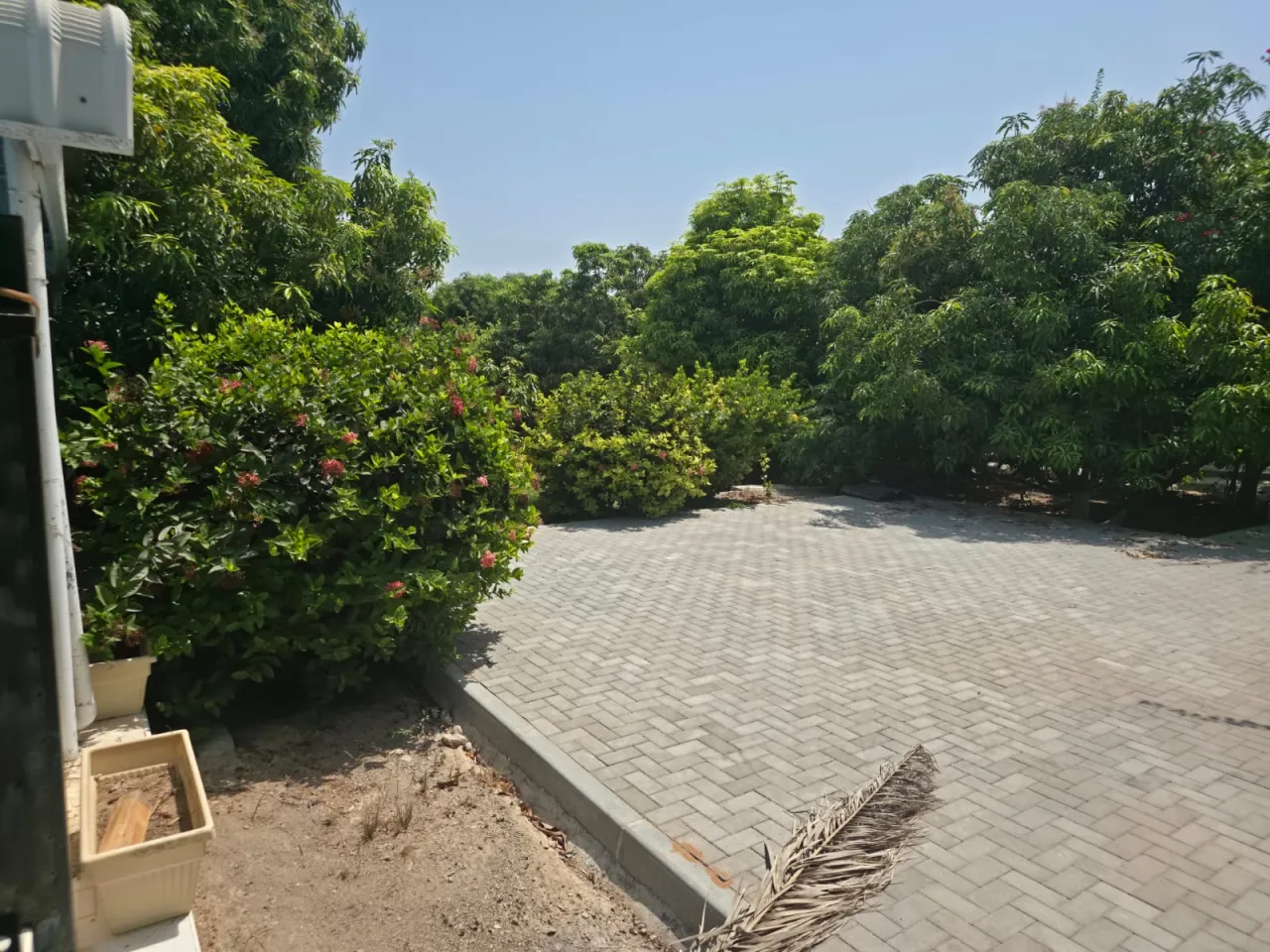 Arak Farm 2 — photo 10