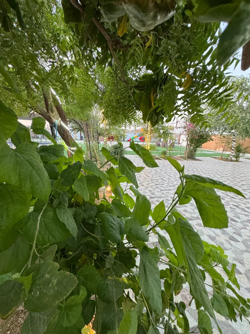 استراحه منظر الوادي — صورة 13