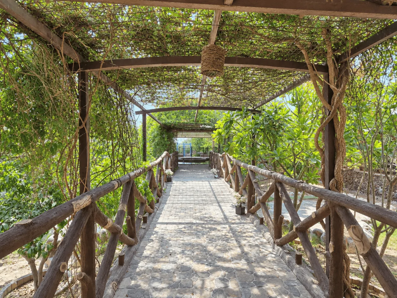 Palm Haven Farmhouse | Wadi Ashwani Escape — photo 8