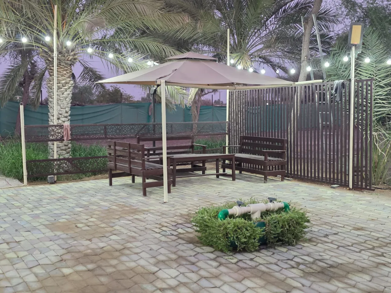 Al Raha farm — photo 7