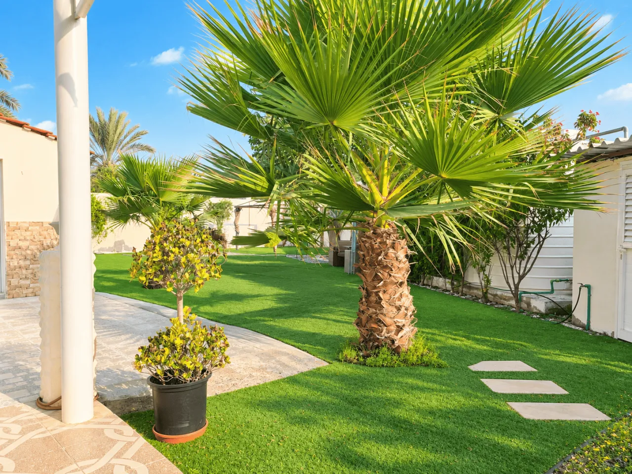 Al Ryana Farm — photo 9
