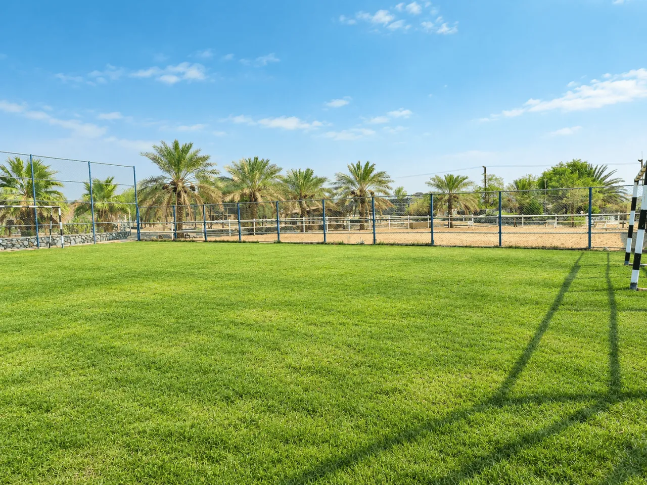 Palm Haven Farmhouse | Wadi Ashwani Escape — photo 15