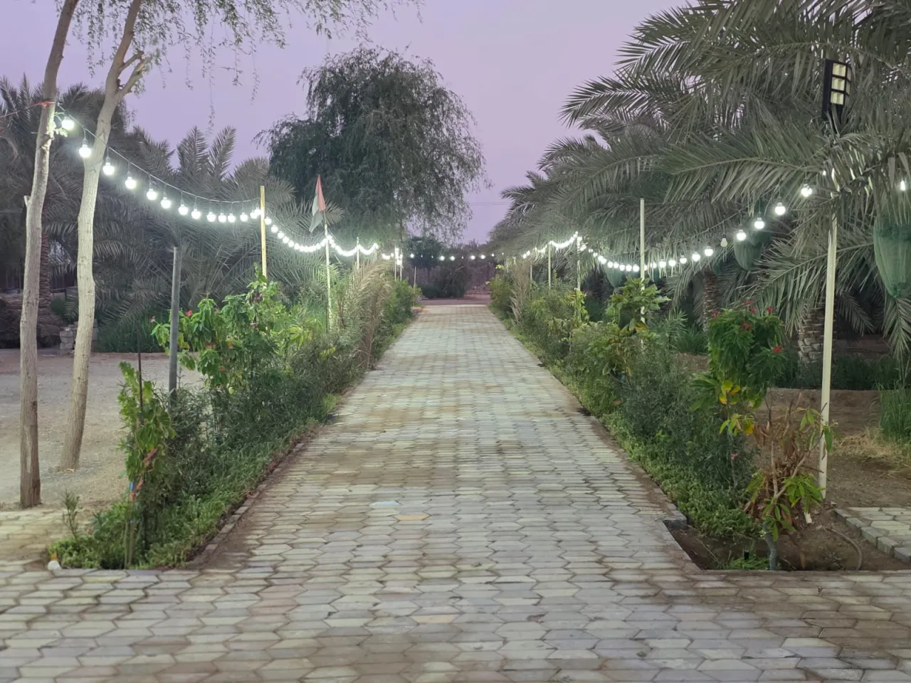 Al Raha farm — photo 6